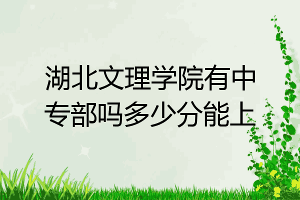 湖北文理学院有中专部吗多少分能上