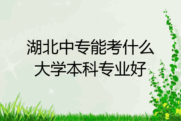 湖北中专能考什么大学本科专业好