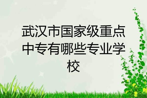 武汉市国家级重点中专有哪些专业学校