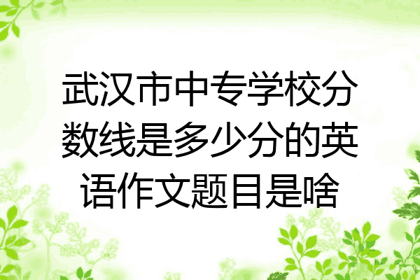 武汉市中专学校分数线是多少分的英语作文题目是啥