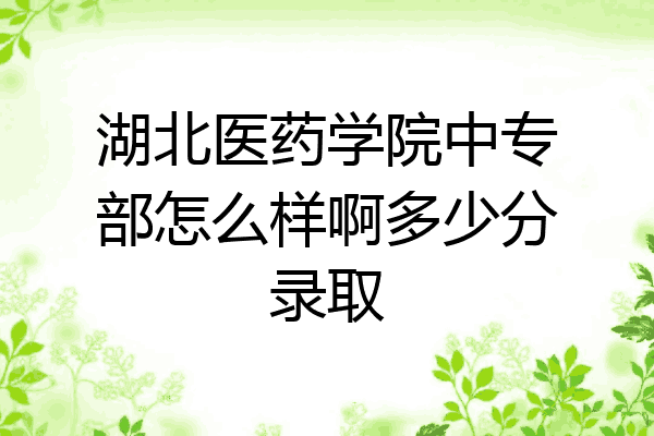湖北医药学院中专部怎么样啊多少分录取