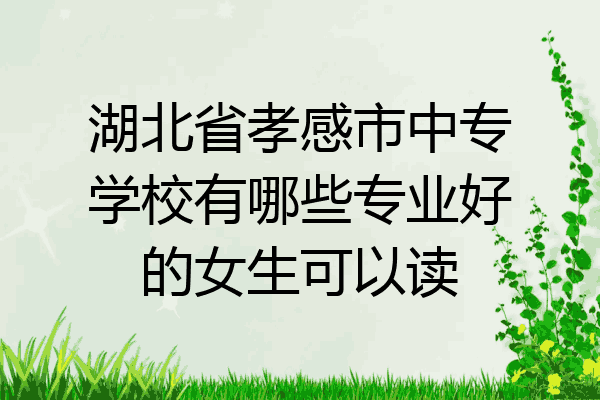 湖北省孝感市中专学校有哪些专业好的女生可以读
