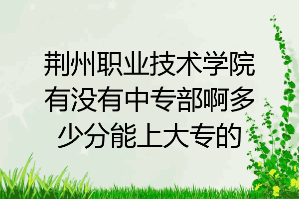 荆州职业技术学院有没有中专部啊多少分能上大专的