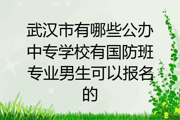 武汉市有哪些公办中专学校有国防班专业男生可以报名的