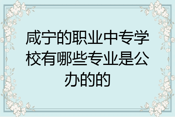 咸宁的职业中专学校有哪些专业是公办的的