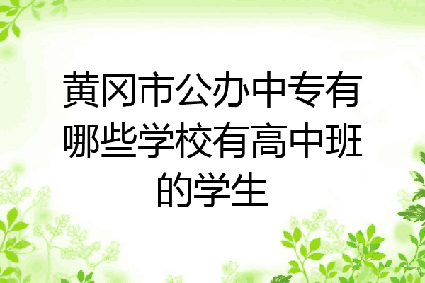 黄冈市公办中专有哪些学校有高中班的学生