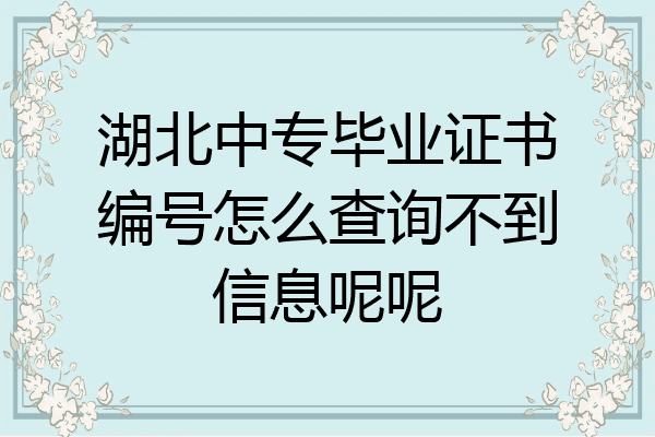 湖北中专毕业证书编号怎么查询不到信息呢呢