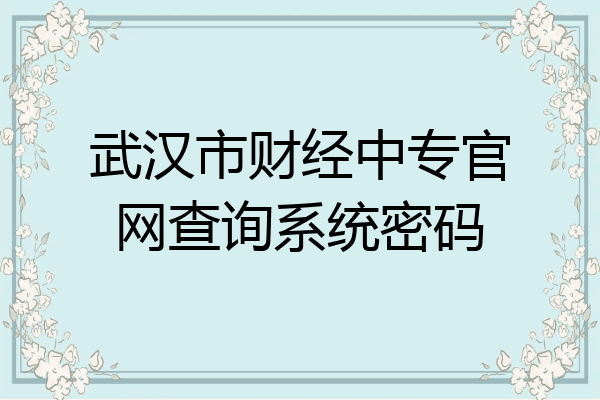武汉市财经中专官网查询系统密码