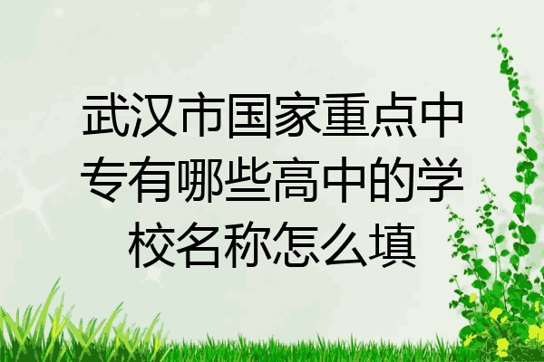 武汉市国家重点中专有哪些高中的学校名称怎么填