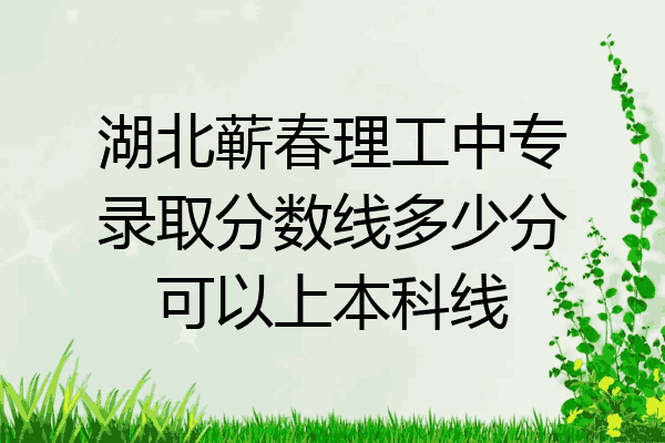湖北蕲春理工中专录取分数线多少分可以上本科线