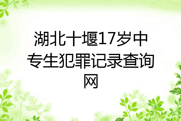 湖北十堰17岁中专生犯罪记录查询网