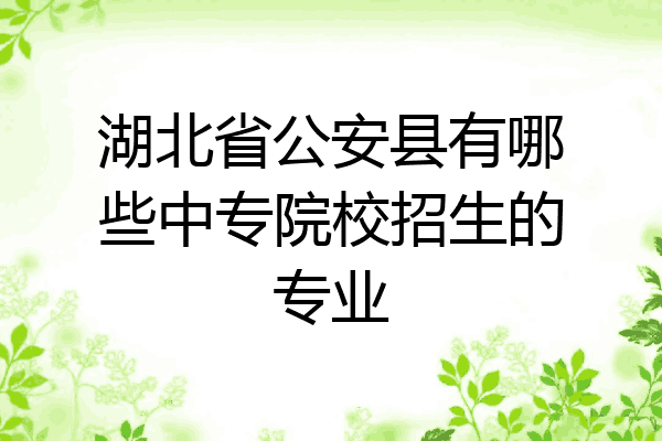湖北省公安县有哪些中专院校招生的专业