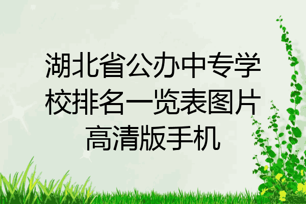 湖北省公办中专学校排名一览表图片高清版手机