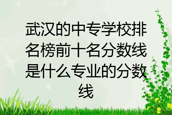 武汉的中专学校排名榜前十名分数线是什么专业的分数线