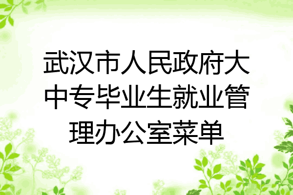 武汉市人民政府大中专毕业生就业管理办公室菜单