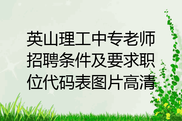 英山理工中专老师招聘条件及要求职位代码表图片高清