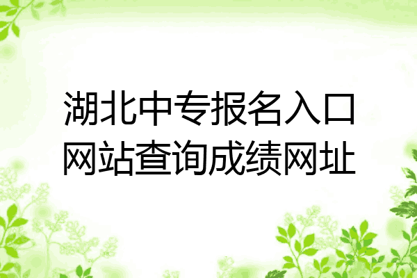 湖北中专报名入口网站查询成绩网址