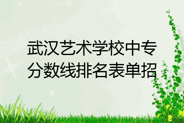 武汉艺术学校中专分数线排名表单招