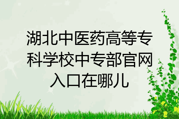 湖北中医药高等专科学校中专部官网入口在哪儿