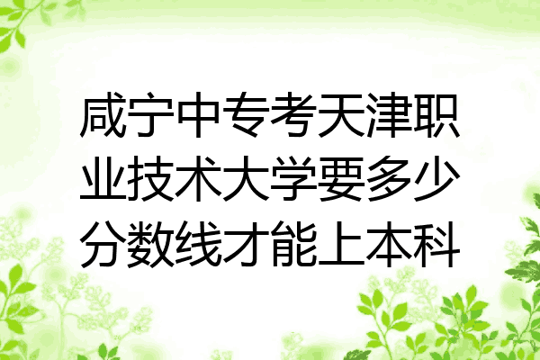 咸宁中专考天津职业技术大学要多少分数线才能上本科
