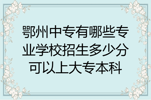 鄂州中专有哪些专业学校招生多少分可以上大专本科