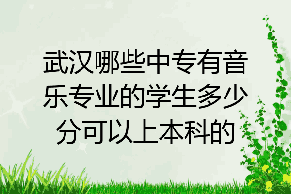 武汉哪些中专有音乐专业的学生多少分可以上本科的