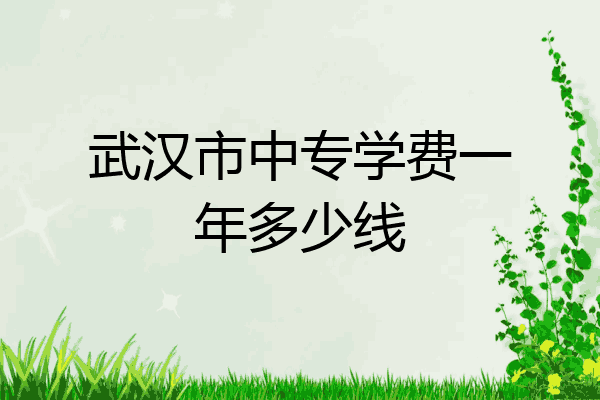 武汉市中专学费一年多少线