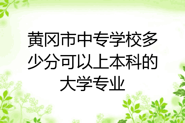 黄冈市中专学校多少分可以上本科的大学专业