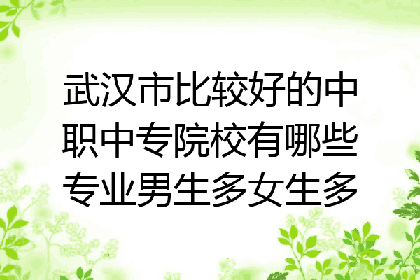 武汉市比较好的中职中专院校有哪些专业男生多女生多