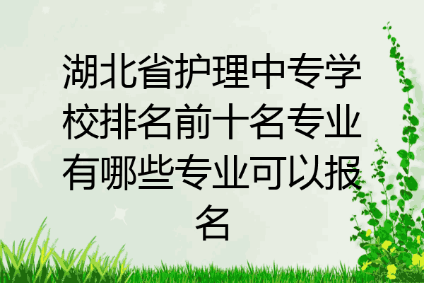 湖北省护理中专学校排名前十名专业有哪些专业可以报名