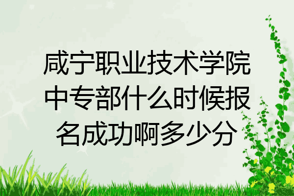 咸宁职业技术学院中专部什么时候报名成功啊多少分