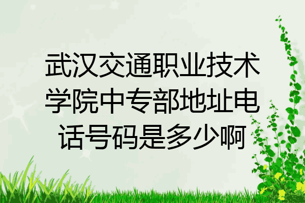 武汉交通职业技术学院中专部地址电话号码是多少啊