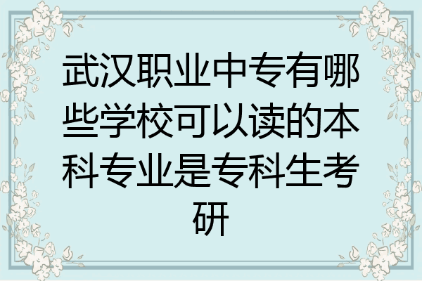 武汉职业中专有哪些学校可以读的本科专业是专科生考研