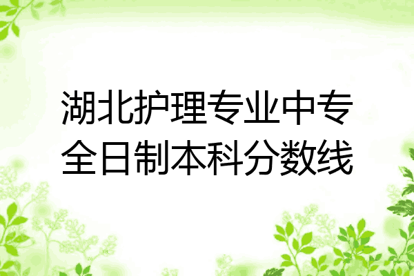 湖北护理专业中专全日制本科分数线