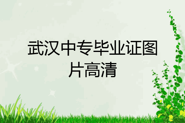 武汉中专毕业证图片高清