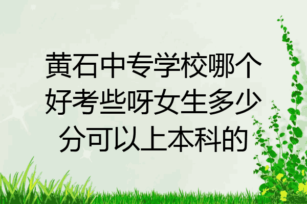 黄石中专学校哪个好考些呀女生多少分可以上本科的