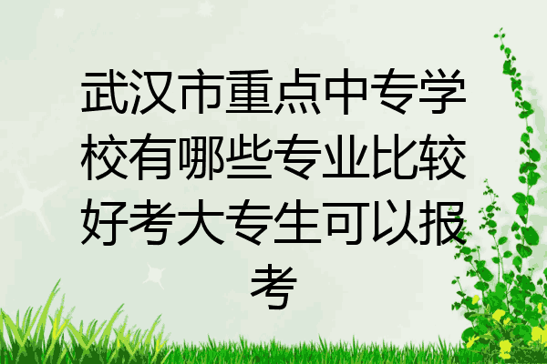 武汉市重点中专学校有哪些专业比较好考大专生可以报考
