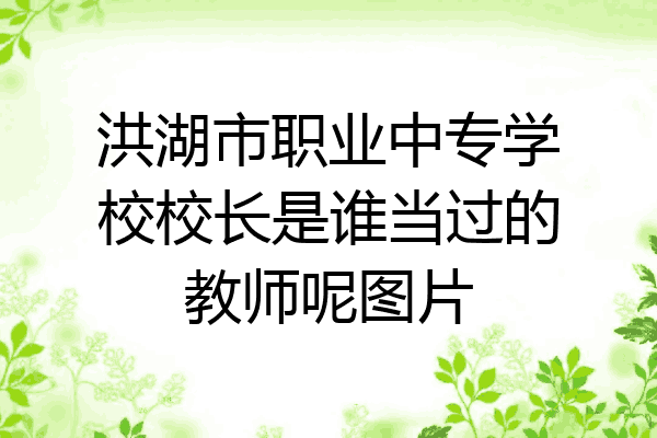 洪湖市职业中专学校校长是谁当过的教师呢图片