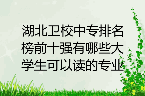 湖北卫校中专排名榜前十强有哪些大学生可以读的专业