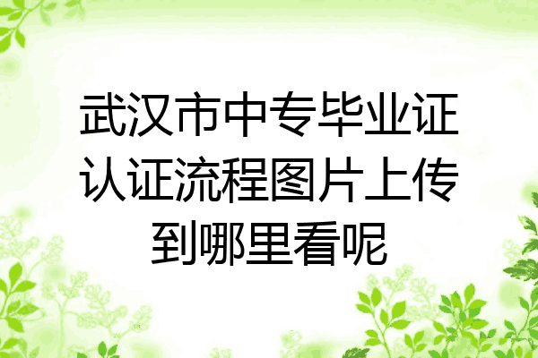 武汉市中专毕业证认证流程图片上传到哪里看呢