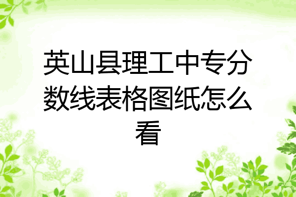 英山县理工中专分数线表格图纸怎么看