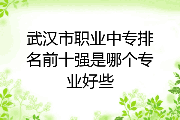 武汉市职业中专排名前十强是哪个专业好些