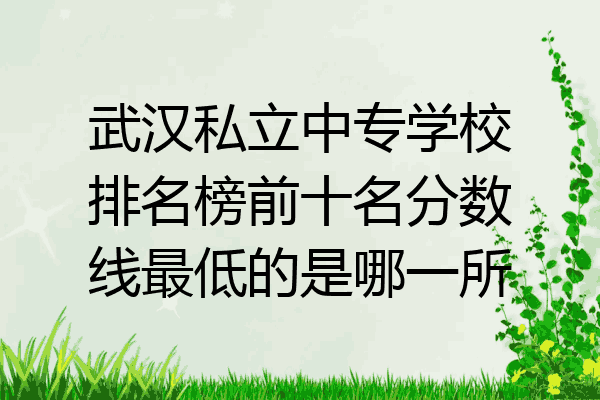 武汉私立中专学校排名榜前十名分数线最低的是哪一所