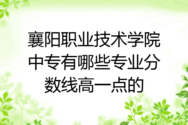 襄阳职业技术学院中专有哪些专业分数线高一点的