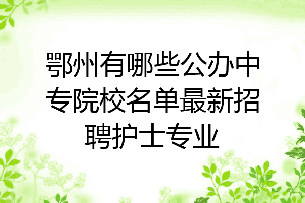 鄂州有哪些公办中专院校名单最新招聘护士专业