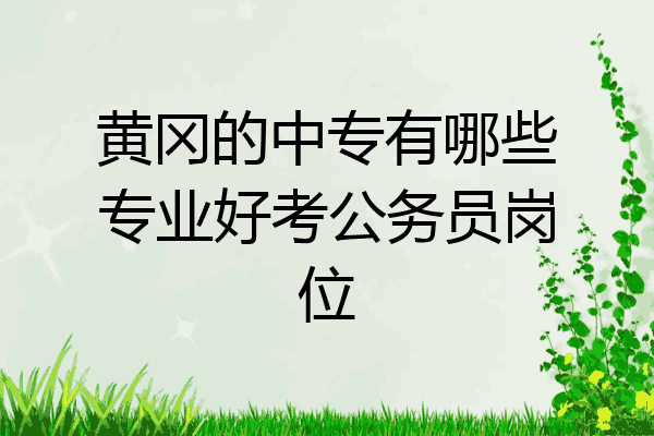 黄冈的中专有哪些专业好考公务员岗位