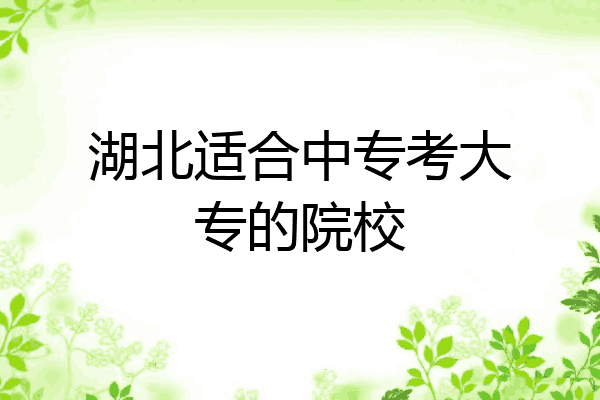 湖北适合中专考大专的院校