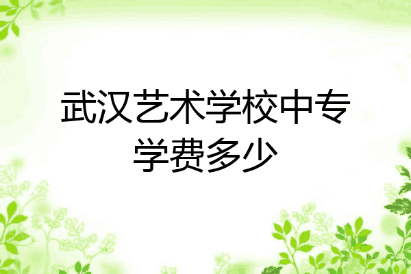 武汉艺术学校中专学费多少