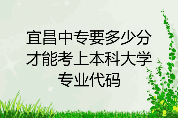 宜昌中专要多少分才能考上本科大学专业代码