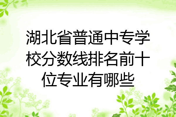 湖北省普通中专学校分数线排名前十位专业有哪些